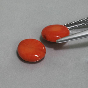 Pedras preciosas de coral rosa natural de  ct, forma extravagante, opaco