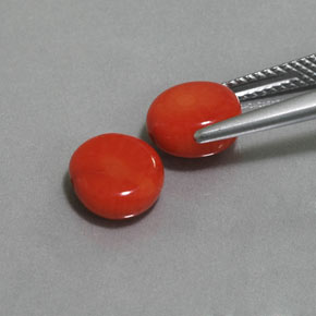 Pedras preciosas de coral rosa natural de  ct, forma extravagante, opaco