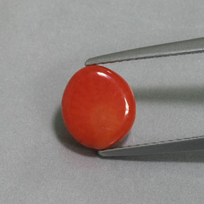 Coral rosa natural 2,12ct, forma extravagante, opaco