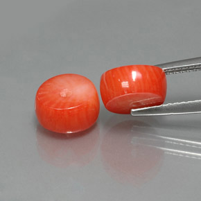 Pedras preciosas de coral salmão natural de  ct, forma extravagante, opaco