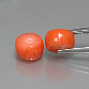 Pedras preciosas de Coral Salmão natural de  ct, Forma extravagante, Opaco