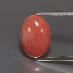 Coral rosa natural 4,05ct, corte oval, opaco