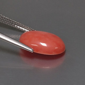 Coral rosa natural 4,05ct, corte oval, opaco