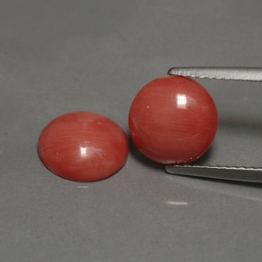 Pedras preciosas de coral rosa natural de  ct, corte redondo, opaco