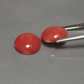 Pedras preciosas de Coral Salmão natural de  ct, Redondo, Opaco