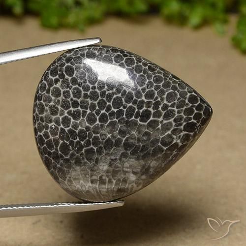 Coral Multicolorido Natural 32.89ct, Formato de pêra, Opaco