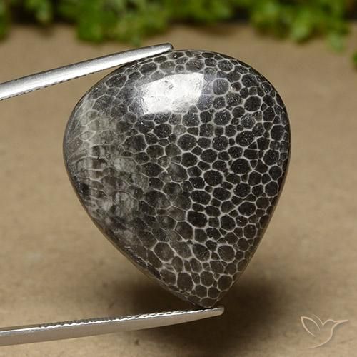 Coral Multicolorido Natural 32.89ct, Formato de pêra, Opaco
