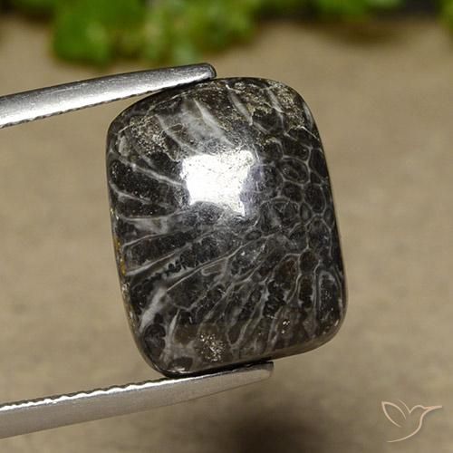 11.07ct Natural Multicolorido Coral, Almofada, Opaco
