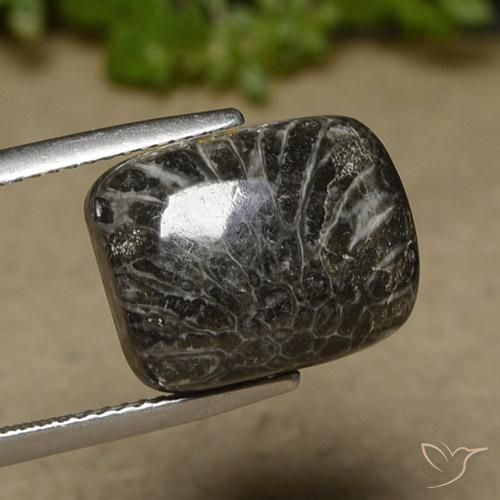 Coral Multicolorido Natural 11.07ct, Almofada, Opaco
