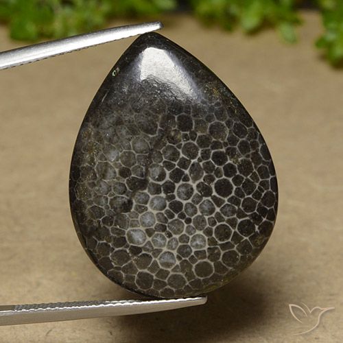 Coral Multicolorido Natural 21.35ct, Formato de pêra, Opaco