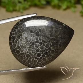 Coral Multicolorido Natural 21.35ct, Formato de pêra, Opaco