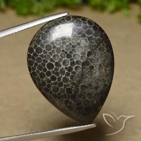 Coral Multicolorido Natural 21.35ct, Formato de pêra, Opaco