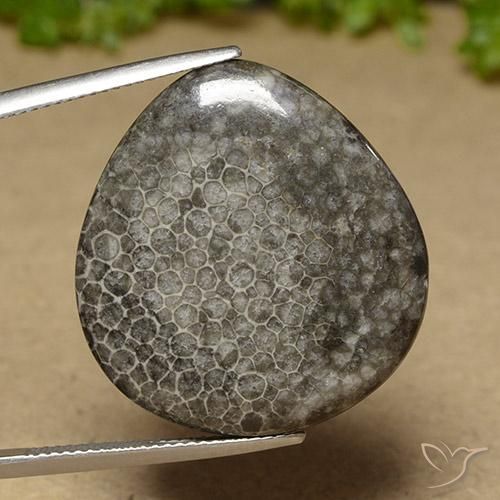 27.41ct Natural Multicolorido Coral, Formato de pêra, Opaco