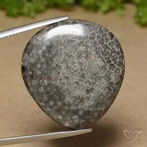 Coral Multicolorido Natural 27.41ct, Formato de pêra, Opaco