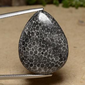 Coral Multicolorido Natural 22.48ct, Formato de pêra, Opaco