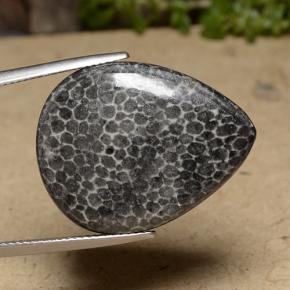 Coral Multicolorido Natural 22.48ct, Formato de pêra, Opaco