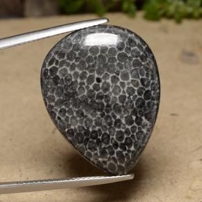 Coral Multicolorido Natural 22.48ct, Formato de pêra, Opaco