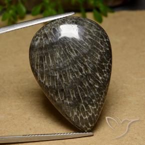 Coral Multicolorido Natural 34.89ct, Formato de pêra, Opaco