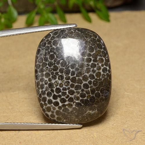 28.32ct Natural Multicolorido Coral, Almofada, Opaco