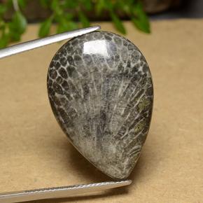Coral multicolorido natural 20,56ct, formato de pêra, opaco