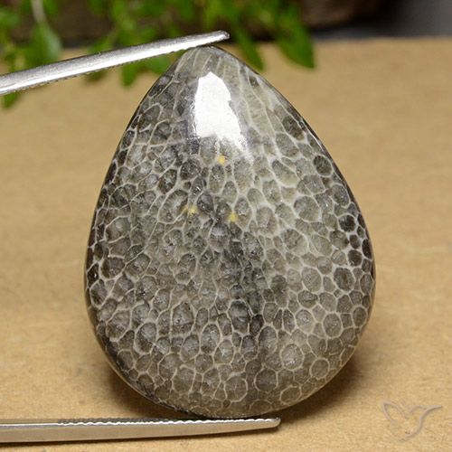 45.60ct Natural Multicolorido Coral, Formato de pêra, Opaco