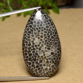 Coral multicolorido natural 26,37ct, formato de pêra, opaco