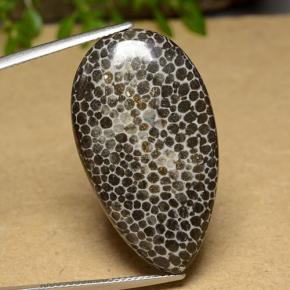 Coral multicolorido natural 26,37ct, formato de pêra, opaco