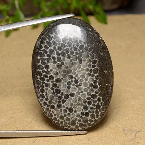 31.69ct Natural Multicolorido Coral, oval, Opaco