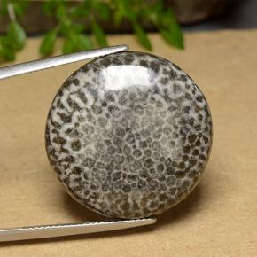 Coral multicolorido natural 30,46ct, corte redondo, opaco