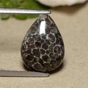 Coral cinza natural 2,93ct, formato de pêra, opaco