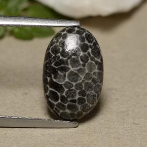 Coral cinza natural 2,44ct, corte oval, opaco