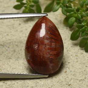 Coral Multicolorido Natural 7.90ct, Formato de pêra, Opaco