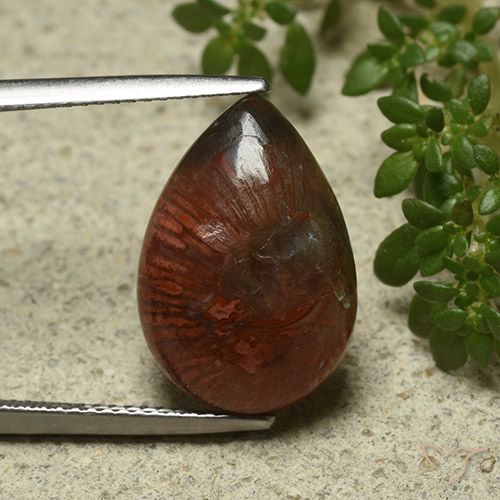 7.03ct Natural Multicolorido Coral, Formato de pêra, Opaco