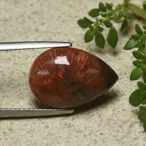 Coral Multicolorido Natural 7.03ct, Formato de pêra, Opaco