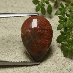 Coral Multicolorido Natural 7.03ct, Formato de pêra, Opaco