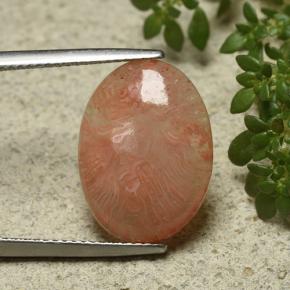 Coral multicolorido natural 6,55ct, corte oval, translúcido