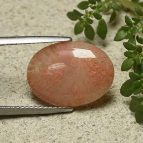 Coral multicolorido natural 6,55ct, corte oval, translúcido