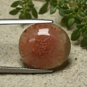 Coral Multicolorido Natural 9.34ct, oval, Translúcido