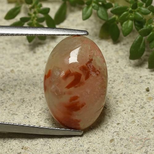 6.87ct Natural Multicolorido Coral, oval, Translúcido
