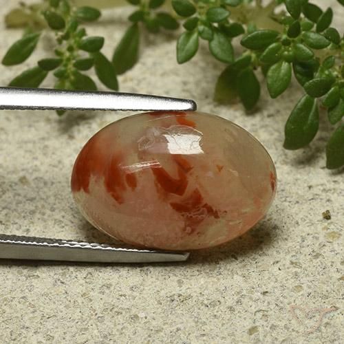 Coral Multicolorido Natural 6.87ct, oval, Translúcido