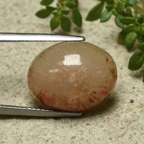 Coral Multicolorido Natural 11.57ct, oval, Translúcido