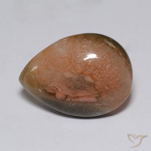 9.60ct Natural Multicolorido Coral, Formato de pêra, Translúcido