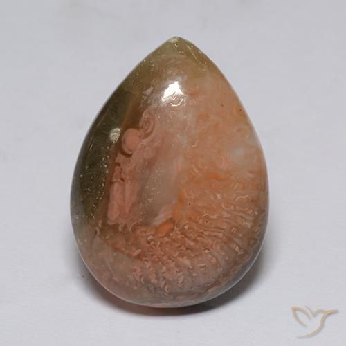 Coral Multicolorido Natural 9.60ct, Formato de pêra, Translúcido