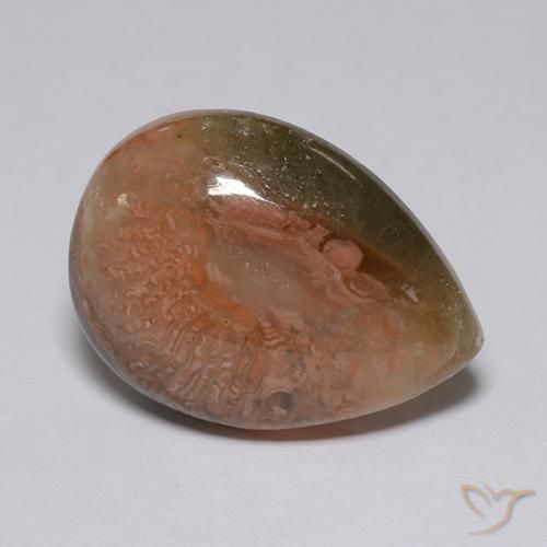 Coral Multicolorido Natural 9.60ct, Formato de pêra, Translúcido