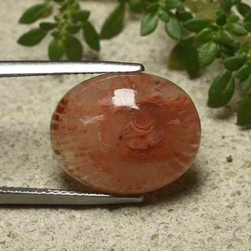 Coral Multicolorido Natural 9.87ct, oval, Translúcido