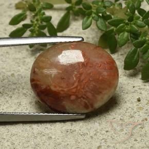 Coral Multicolorido Natural 9.58ct, oval, Translúcido
