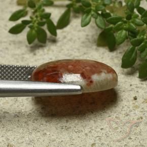 Coral Multicolorido Natural 9.58ct, oval, Translúcido