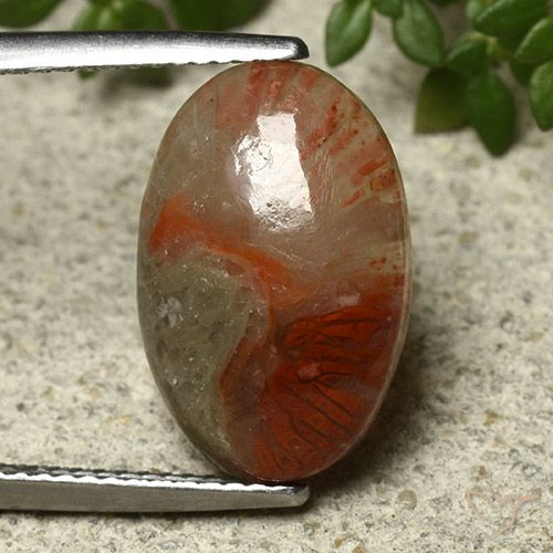 Coral multicolorido natural 5,91ct, corte oval, translúcido