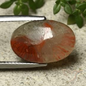 Coral multicolorido natural 5,91ct, corte oval, translúcido