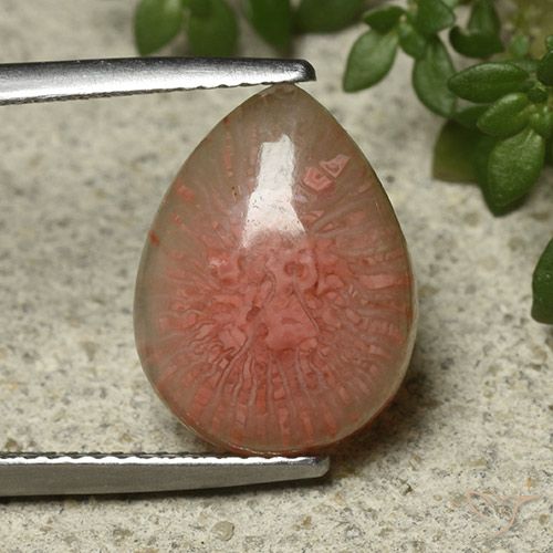 5.12ct Natural Multicolorido Coral, Formato de pêra, Translúcido